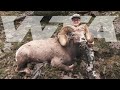 Onceinalifetime bighorn sheep tag  worldwide trophy adventures