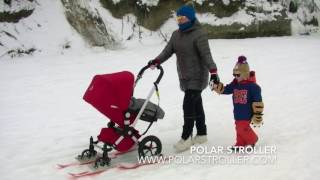 polar stroller