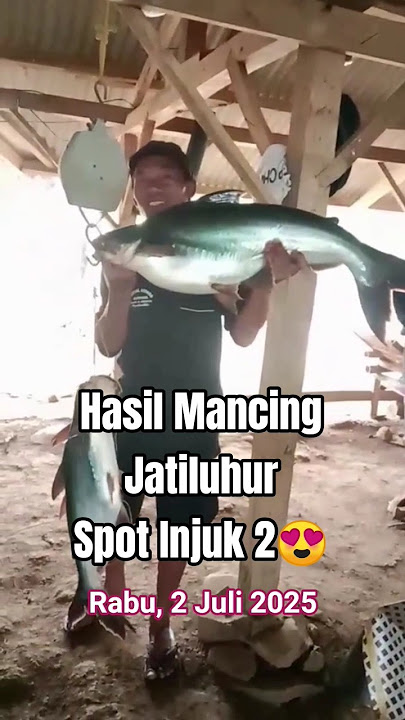 Mancing Jatiluhur terbaru | spot injuk 2 Lagi Gacor🔥 #mancingjatiluhurterbaru