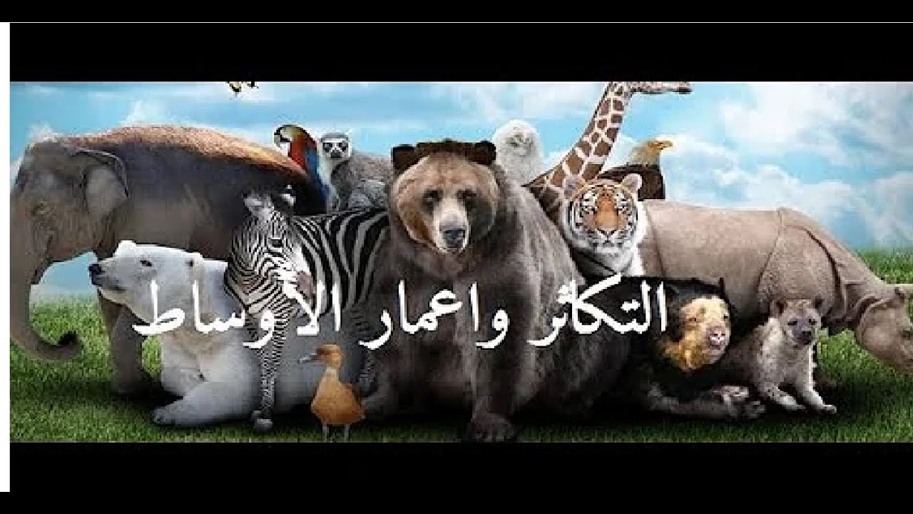 علوم 2 متوسط ملخص   التكاثر  واعمار الاوساط
