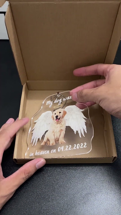 I've  received this from heaven 🐶