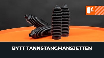 Slik bytter du tannstangmansjetten på bilen [AUTODOC-VIDEOVEILEDNINGER]