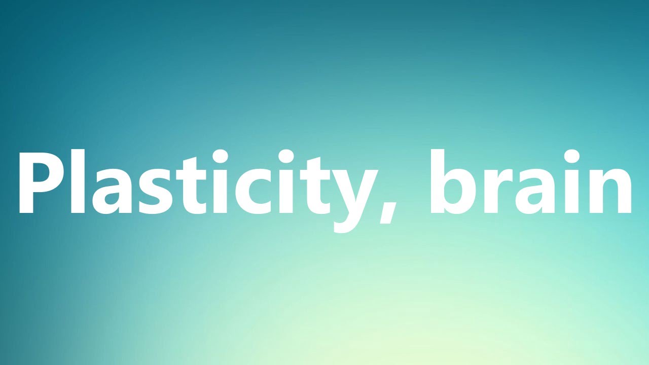 Plasticity, brain Medical Definition and Pronunciation YouTube