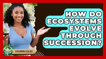 How Do Ecosystems Evolve Through Succession? - Explaining Ecology