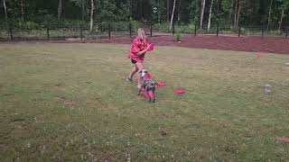 Freestyle Royale 2026 Meridith Smith August