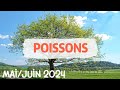 ♓ POISSONS ♓🌼 MAI / JUIN 2024 🌼✨ Vous passez de la théorie à la pratique ✨