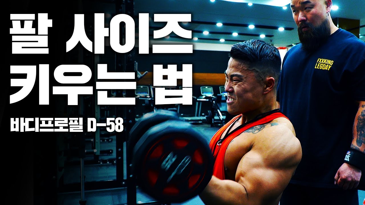 여름준비 반팔티 꽉 채우는 방법..?⎜프로 보디빌더의 팔 루틴 따라잡기