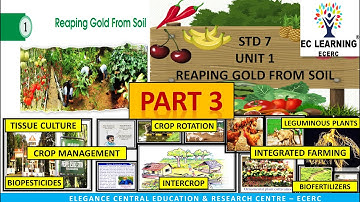 STD7_Chp1 Reaping Gold from Soil |  PART 3 Basic Science | Primary Tutorial | EC Learning | ECERC