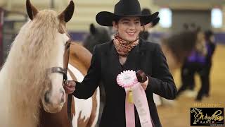 GORGEOUS GYPSY VANNER HORSES  National Championships 2022  DAY 1  Halter and Liberty classes