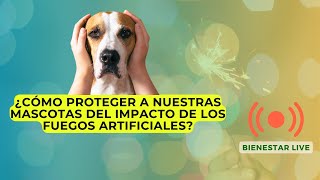 🐾¿CÓMO PROTEGER A NUESTRAS MASCOTAS DEL IMPACTO DE LOS FUEGOS ARTIFICIALES ? - BIENESTAR LIVE