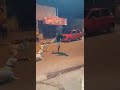 Men fight with dog best action funny