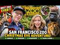 We Spent Christmas Eve at the San Francisco Zoo and Were Completely Shocked