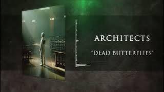 Architects - Dead Butterflies