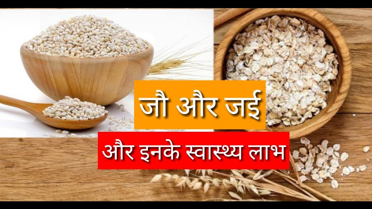  Difference Between Barley Oats 