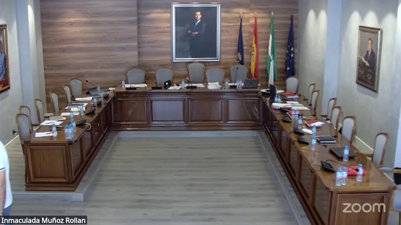 Celebración plenos ordinarios 28 de julio 2