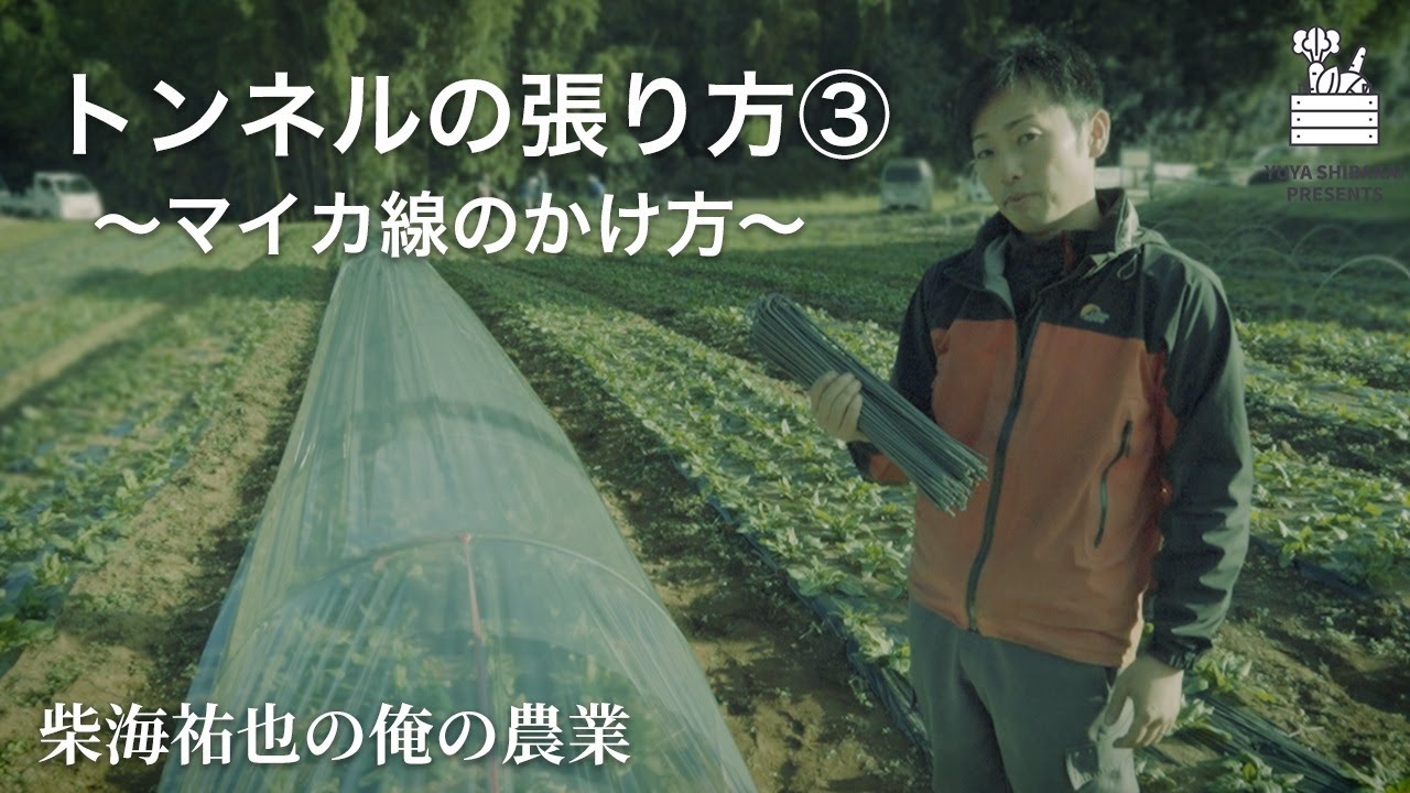 トンネルの張り方3 マイカ線のかけ方 ｜柴海祐也 俺の農業