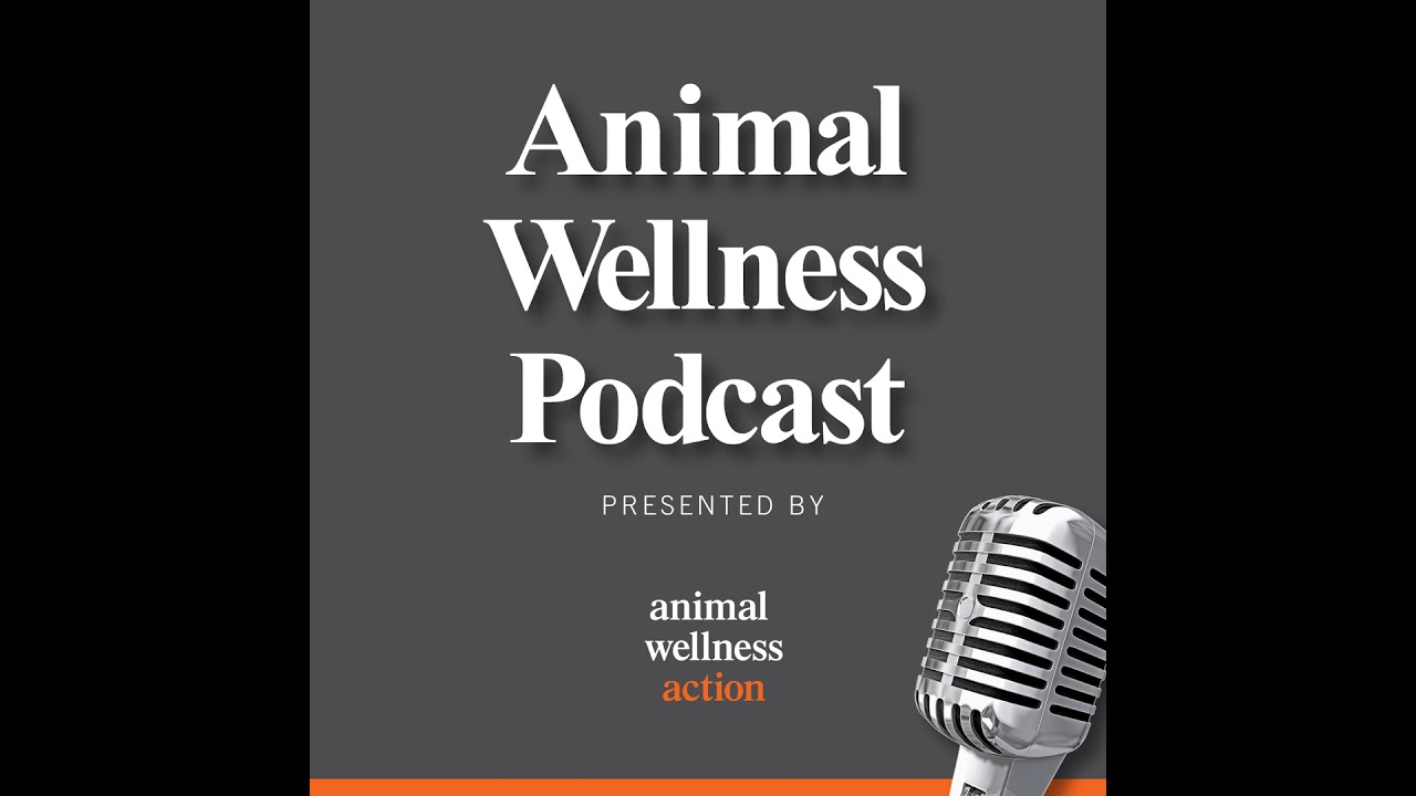 Our Annual Review and Look Ahead for Animals | Episode 71