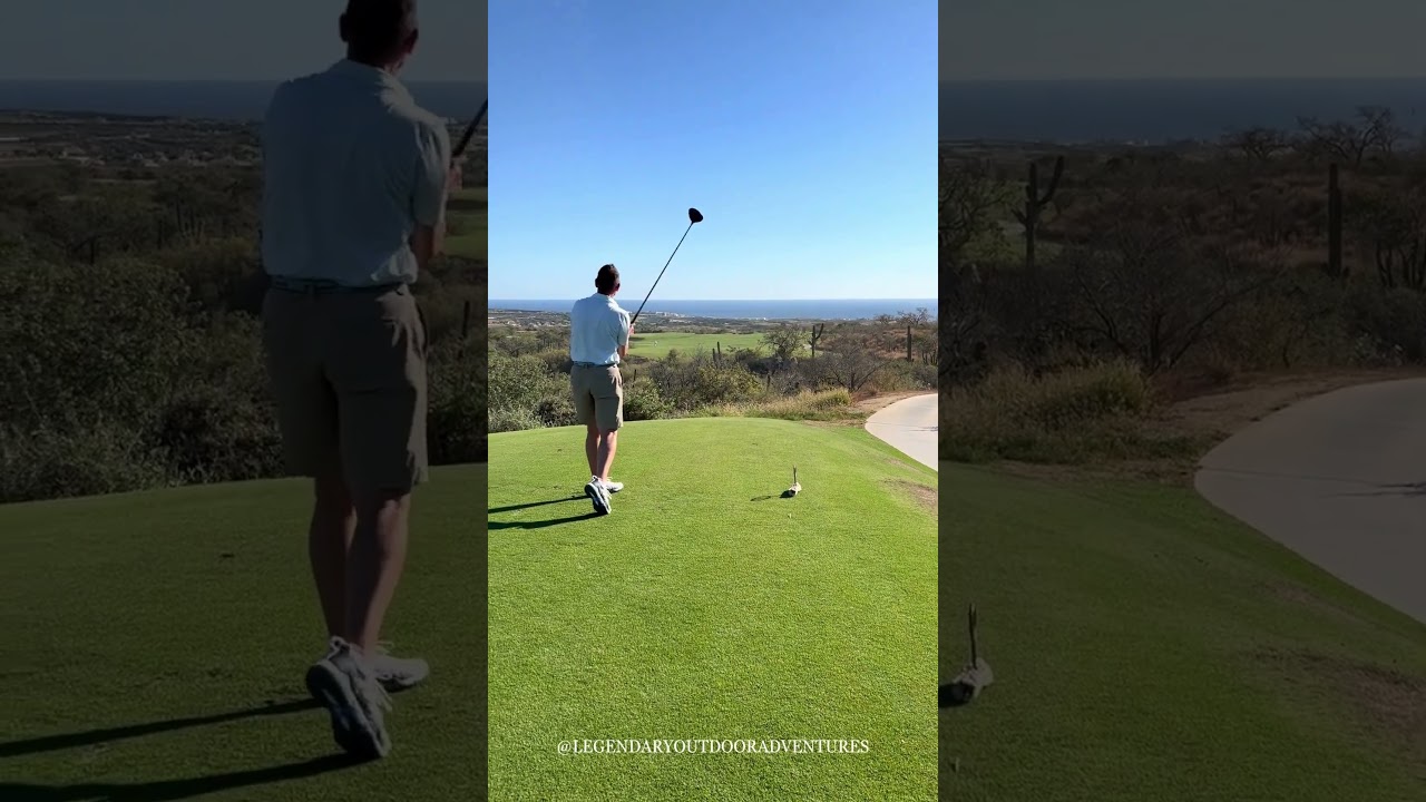 AMAZING GOLF SWING  