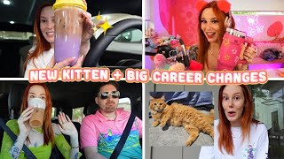 NEW KITTEN + BIG CAREER CHANGES!