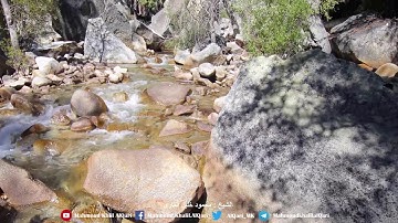 قل أفغير الله تأمروني أعبد أيها الجاهلون | الشيخ محمود خليل القارئ