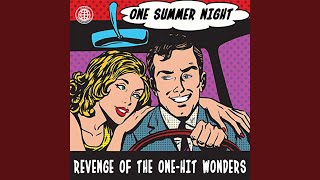 One Summer Night - The Danleers