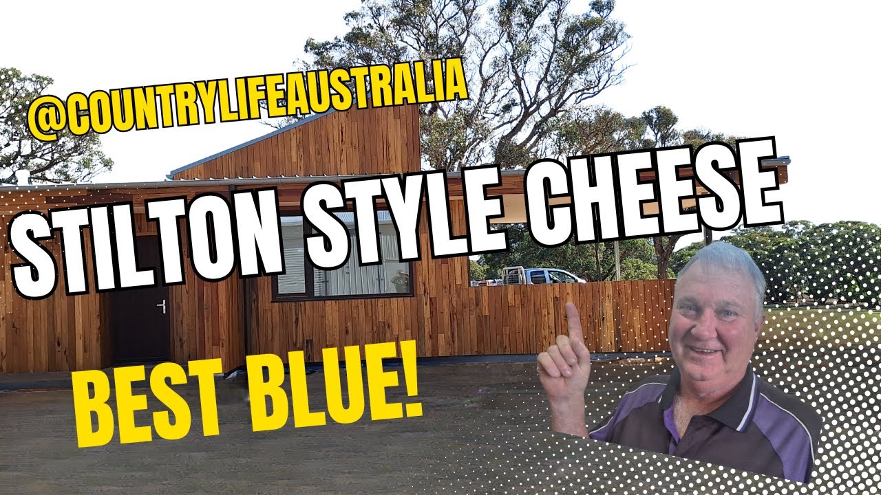 stilton style cheese