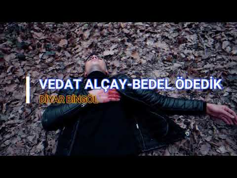 #Vedatalçay #bedel #bedelödedik  Vedat Alçay-Bedel Ödedik (Lyrics)
