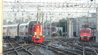 Поезда на Московском вокзале. Самый большой и шумный вокзал в Санкт-Петербурге