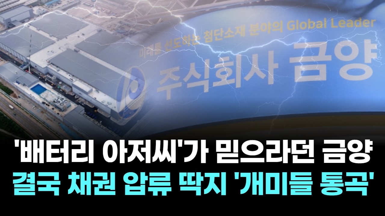 '배터리 아저씨'가 믿으라던 금양, 결국 채권 압류 딱지 '개미들 통곡'