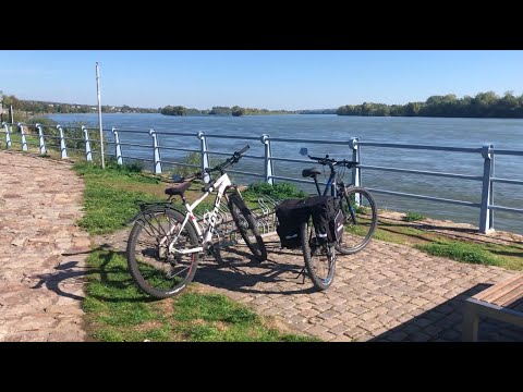 RHINE VALLEY . Bicycle Ride Geisenheim - Eltville am Rhein- Geisenheim