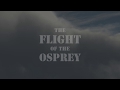 The flight of the osprey