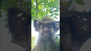 Part 3 Of A Swarm I Caught In My Backyard Today. 🐝