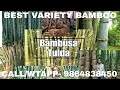 Tulda Bamboo #vural #bamboo1 #farming #farmer #news #farmers #kissan #kissanmajdoorektazindabaad #ai