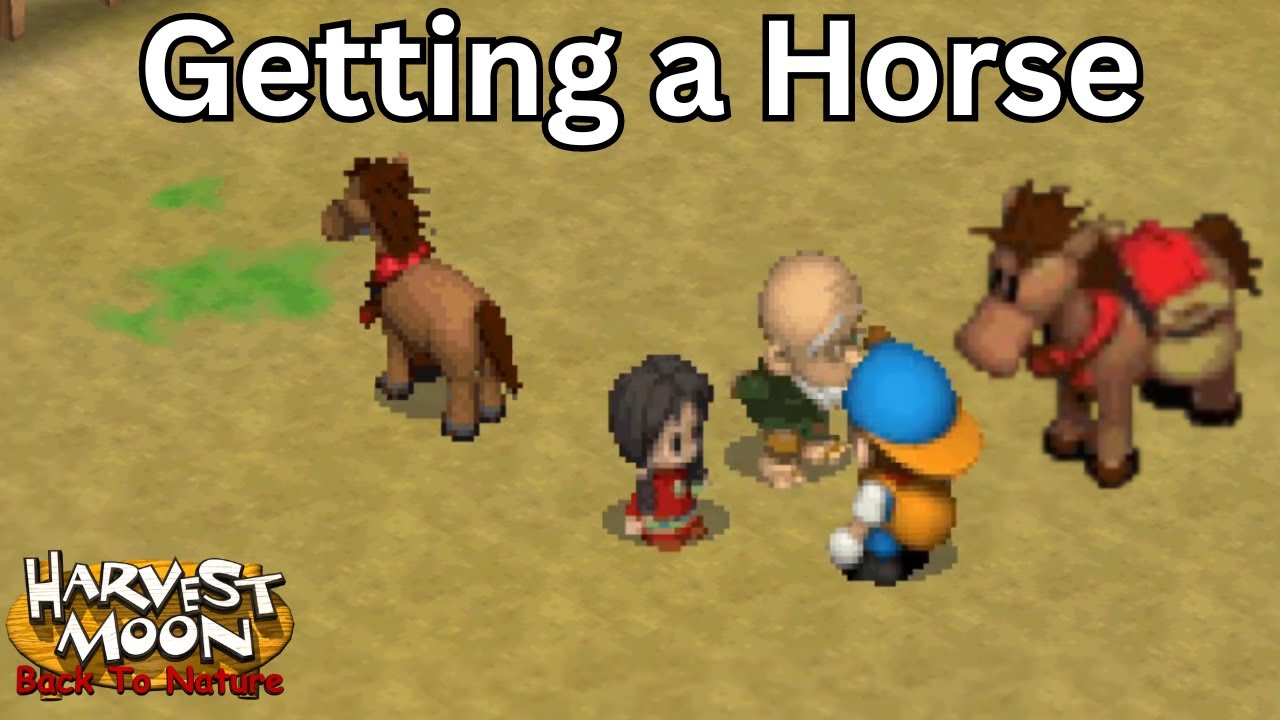 Harvest Moon: Back to Nature - Getting a Horse - YouTube