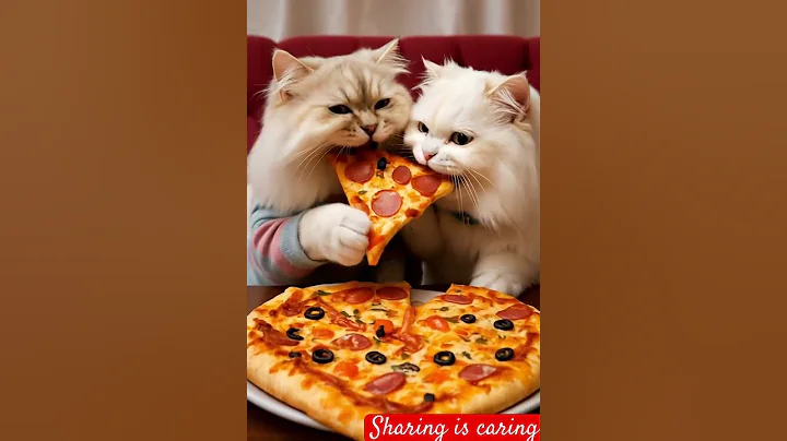 Watch the video about Beautiful cats eating pizza #cat #catlover #cutecat #love #miawmiaw #catvideos #shortsfeed #shorts