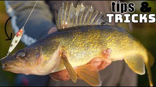 How to Catch Walleyes Up North!!