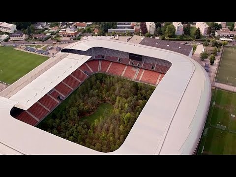 Vidéo: Stade De Football Transformé En Forêt Immense