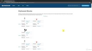 Blockchain A-Z™: Learn How To Build Your First Blockchain - Orphaned Blocks