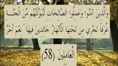 القران الكريم سورة العنكبوت الأية 58.wmv