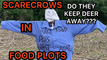 HOW TO KEEP DEER OFF FOOD PLOTS??? SCARECROWS???