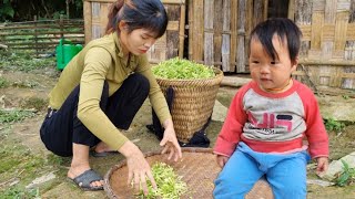 Full Video: Harvesting bitter melon, green beans, marinating meat and preserving in bamboo tubes