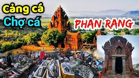 Khám phá cảng cá Phan Rang - Đời sống của người dân nơi đây như thế nào.