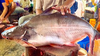 Amazing Giant Pangas Fish Cutting Live In Bangladesh Fish Market | Fish Cutting Skills