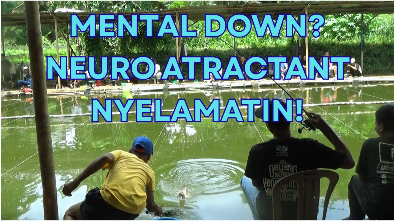 У меня был упадок сил во время рыбалки… Но меня спас нейроаттрактант!