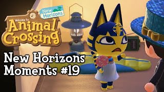 New Horizons Moments #19 (Animal Crossing)