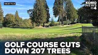 Activists urge Sand Point Country Club to daylight Matthews Creek to offset tree removal