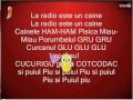 Youtube Thumbnail Puiul Piu lyrics (romana)