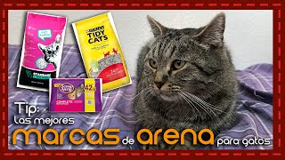 Top de las mejores marcas de arena para gatos según PROFECO