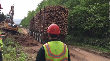 Woodlands Operations