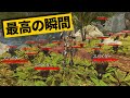 【最高の瞬間30選】こんなにスパイダー出されたら逃げれないよｗ神業面白プレイ最高の瞬間！【APEX/エーペックス】